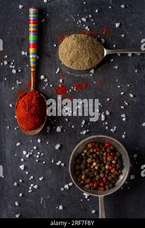 Trois vieilles cuillères avec du poivre, du poivre moulu et de la poudre de paprika rouge sur fond noir. Pose à plat. Vue de dessus. Concept alimentaire. Photo-grap alimentaire d'humeur sombre Banque D'Images