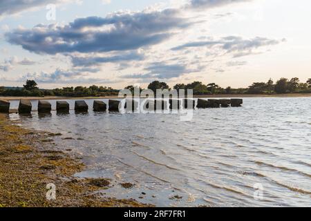 Dragons Teeth, blocs de défense de pièges de chars de la Seconde Guerre mondiale, à Studland, Dorset Royaume-Uni en juillet Banque D'Images