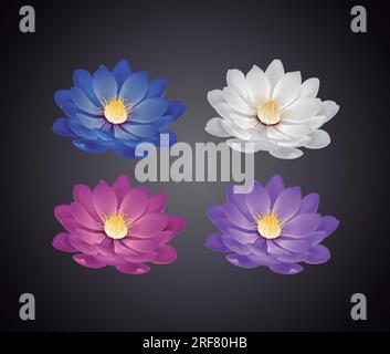 Fleurs de belles fleurs blanches, roses, bleues, violettes ou lotus isolées. Illustration de Vecteur