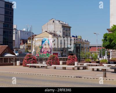 'Serdika Tulip' par Arsek Erase Street Art dans la ville de Sofia, Bulgarie. 01 août 2023. Bancs/sièges en bord de route et fleurs au premier plan. Banque D'Images