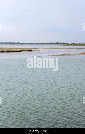 Paysage avec marais salants dans les eaux peu profondes du lagon, tourné en lumière vive à Grado, Gorizia, Frioul, Italie Banque D'Images