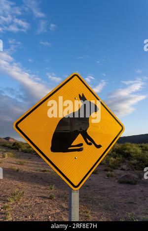 Un panneau de mise en garde pour la faune sauvage Mara Patagonienne semblable au lapin dans le parc national de Talampaya, province de la Rioja, Argentine. Banque D'Images