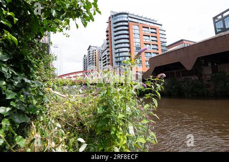 Développement urbain le long de la rivière Irwell, Salford, Borough of Greater Manchester. La rivière divise Salford et Manchester. Banque D'Images