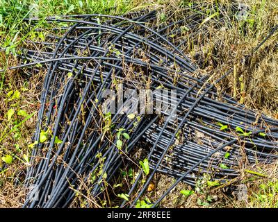 Bobine de câble à fibres optiques inutilisé envahie dans un fossé en bordure de route - Bossay-sur-Claise, Indre-et-Loire (37), France. Banque D'Images