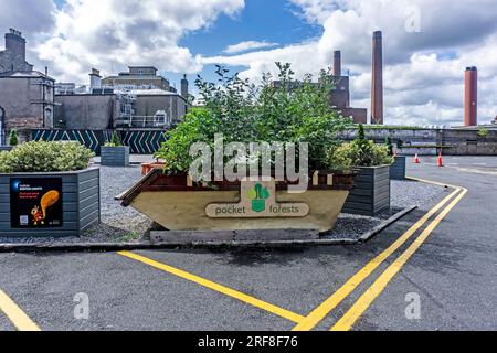 Une benne basculante reconvertie doublant en tant que propriétaire d'usine, à Dublin, en Irlande, créée par Pocket Forests, une entreprise d'entreprise sociale. Banque D'Images