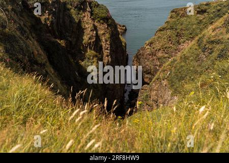 Bull Bay Anglesey Wales Banque D'Images