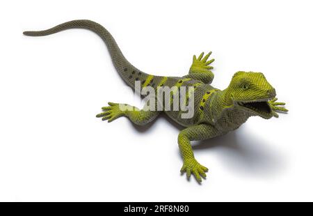 Vert Lizard en plastique découpé sur blanc. Banque D'Images