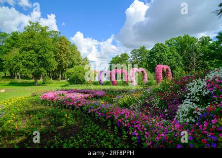 Parc magnifiquement entretenu. Verdure de fleurs de pétunia. Au loin, les cœurs sont plantés de pétunias, de fleurs de différentes couleurs Banque D'Images