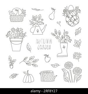 Vector Line Set avec des compositions de bouquet de jardin d'automne pour carte, invitation, site Web, autocollants, bannière. Illustrations minimales mignonnes d'automne. Illustration de Vecteur