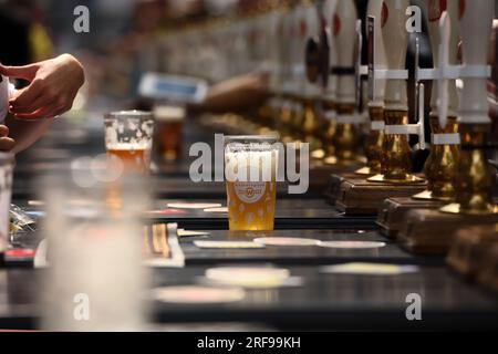 01 août 2023. Londres, Royaume-Uni. Photo de Ray Tang. Un verre de bière est placé sur un comptoir de bar à bière à côté des pompes à bière au Great British Beer Festival qui a lieu à Olympia le jour où les prix de la taxe sur l'alcool augmentent aujourd'hui. Le Great British Beer Festival est l'un des événements annuels les plus importants, les plus excitants et les plus connus dans le monde de la bière et du cidre datant de 1977. Organisé par la Campaign for Real Ale (CAMRA) et doté de 1000 bénévoles amateurs de bière, il apporte des centaines de bières britanniques, de bières internationales et de vrais cidres et perries sous le toit emblématique de l'Olympia London. Banque D'Images