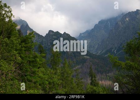 Les montagnes Tatras autour de Stary Smokovec en Slovaquie en Europe Banque D'Images