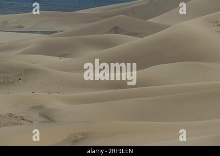 Vue détaillée des dunes de sable des dunes de sable de Hongoryn Els dans le désert de Gobi dans le sud de la Mongolie. Banque D'Images