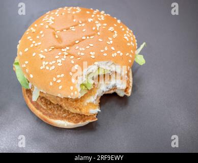 Hamburger de poulet recouvert de laitue fraîche, servi dans un superbe fond noir d'ombre naturelle. Un plaisir visuel et une mise au point sélectionnée. Banque D'Images