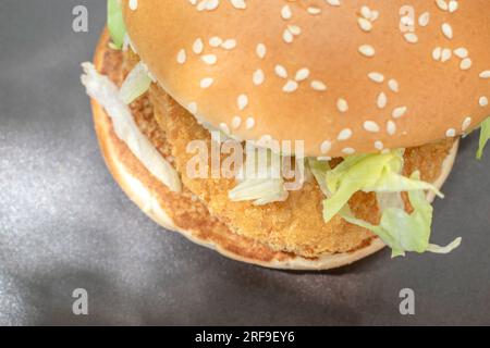 Hamburger de poulet recouvert de laitue fraîche, servi dans un superbe fond noir d'ombre naturelle. Un plaisir visuel et une mise au point sélectionnée. Banque D'Images