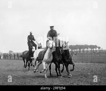 New York, New York : 31 août 1918 deux policiers montés montent trois et deux chevaux alors que la dernière journée des Jeux de police au Speedway Park à Sheepshead Bay touche à sa fin Les recettes serviront à équiper 16 000 hommes de la réserve de police en uniformes. Ils serviront la ville de New York sans solde, remplaçant les policiers réguliers qui ont été appelés à servir dans l'armée ou la marine. Banque D'Images