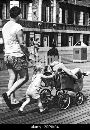 Brooklyn, New York, New York 28 août 1948 l'enfant prend le relais en poussant la poussette quand elle devient le tour de maman pour une promenade en famille sur la promenade de Coney Island. Banque D'Images