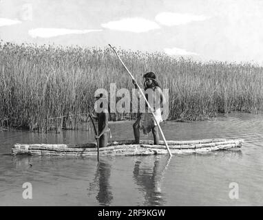 Californie : c. 1930 les Amérindiens de Californie utilisaient les bateaux tule pour la pêche et la chasse sur les lacs et les lagunes. Les bateaux tule flottaient à cause de l'air contenu dans chaque tige tule. Ce type particulier de bateau tule est appelé un balsa. Banque D'Images