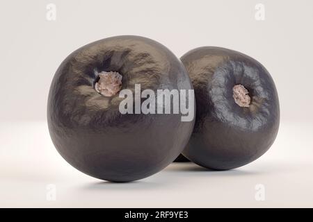 açaí Acai de l'Amazonie. Parfait Acai. Banque D'Images