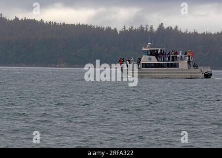 Bateau d'observation des baleines à Juneau Banque D'Images