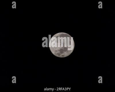 Rio de Janeiro, Rio de Janeiro, Brésil. 1 août 2023. (INT) Super Lune vue à Rio de Janeiro. 01 août 2023, New York, USA : Super Lune vue du quartier Rocha Miranda à Rio de Janeiro à l'aube mercredi (02). Le phénomène de la superlune ou de la pleine superlune l'occasion où la pleine lune se produit lorsque la Lune est proche de son périgée.crédit : Fausto Maia/Thenews2 (Foto : Fausto Maia/Thenews2/Zumapress) (image de crédit : © Fausto Maia/TheNEWS2 via ZUMA Press Wire) USAGE ÉDITORIAL SEULEMENT! Non destiné à UN USAGE commercial ! Banque D'Images