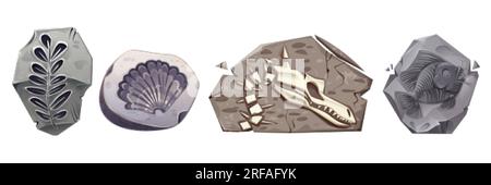 Icônes archéologiques avec des pierres avec des squelettes fossiles de dinosaures, des plantes, des coquillages et des poissons préhistoriques. Collection de paléontologie avec crâne de dino dans la roche, la mer Illustration de Vecteur