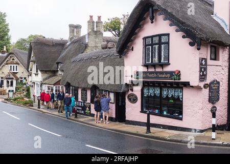 Les toits de chaume pittoresques dans le vieux village de Shanklin dans l'île de Wight, Angleterre, Royaume-Uni. Old Thatch Teashop Banque D'Images