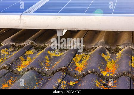 Tuiles contaminées par de la mousse et du lichen sous les panneaux solaires d'un système photovoltaïque sur le toit d'une maison Banque D'Images