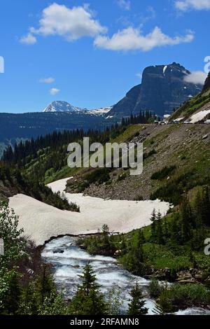 vue de siyeh courbe de champ de neige, rivière, forêt, sommets, vallée glaciaire au début de l'été, route vers le soleil dans le parc national des glaciers, montana Banque D'Images