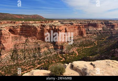 point de vue sur les spectaculaires parois redrock du canyon arch dans le nord-est de cedar mesa, près de blanding, utah Banque D'Images