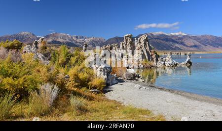 le tuf calcaire frappant monte sur une journée ensoleillée d'automne le long de la rive sud du mono lac de soude alcaline, près de lee vining, en californie Banque D'Images