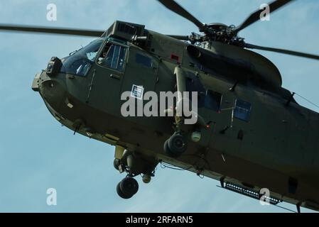 Royal Navy Westland WS-61 Sea King HC4 Commando hélicoptère ZD626 atterrissant à RAF Waddington, Royaume-Uni. Banque D'Images