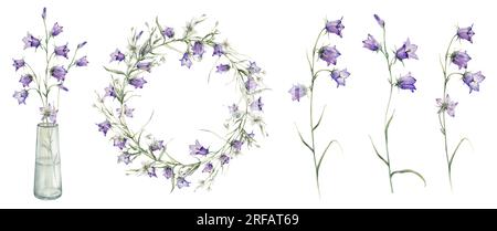 Ensemble de bellflower bleu, bouquet de fleurs, verre vasa.couronne de petite cloche, bluebell. Illustration de peinture à la main aquarelle clipart isoler le blanc Banque D'Images