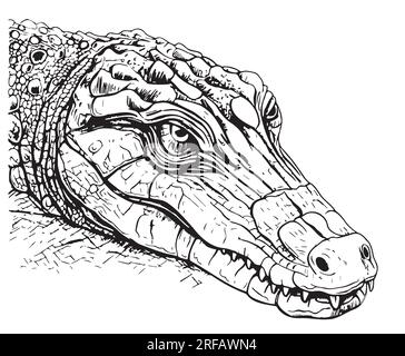 Crocodile visage crocodile dessin à la main reptile Vector Illustration de Vecteur