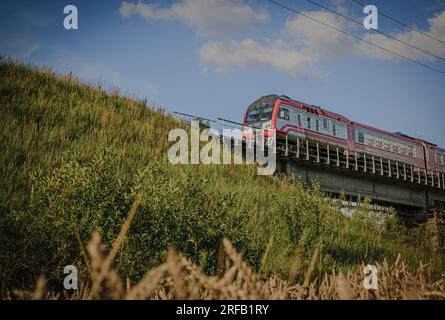 Train diesel soviétique modernisé RVR DR1 (DR1AC-219.8) sur une voie ferrée de campagne, près de Dobele, Lettonie Banque D'Images