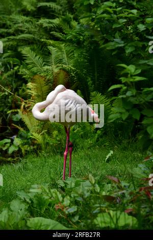 Photo verticale de flamant rose endormi au zoo. Banque D'Images