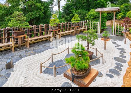 Le jardin japonais coloré avec de nombreuses tailles d'arbres bonsaïs et du gravier ratissé à 'The Newt in Somersets', nr Bruton, Angleterre, Royaume-Uni Banque D'Images