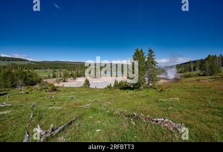 Cooking Hillside, Mud Volcano Area, Yellowstone National Park, Wyoming, États-Unis d'Amérique Banque D'Images