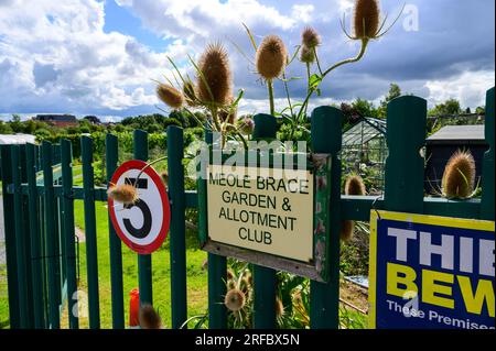 Lotissement urbain à la périphérie d'une ville anglaise en été. Banque D'Images