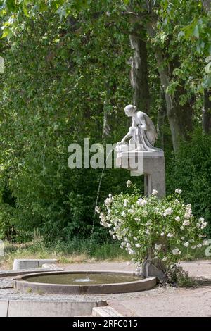 Paysage urbain avec buisson de roses blanches et fontaine en pierre au parc public. Tourné dans la lumière d'été brillante à Stuttgart, Baden Wuttenberg, Allemagne Banque D'Images