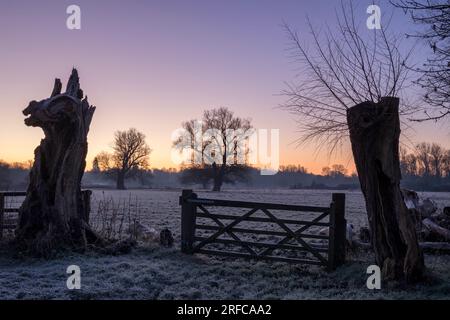 Lever du soleil à Grantchester Meadows, Cambridge, Royaume-Uni Banque D'Images