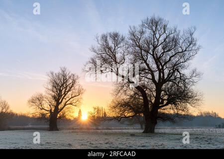 Lever de soleil d'hiver à Grantchester Meadows, Cambridge, Royaume-Uni Banque D'Images