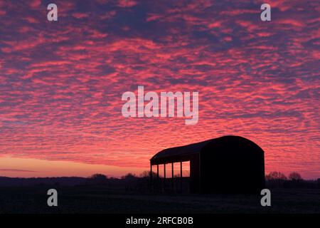 Stapleford Black Barn, Cambridgeshire, Royaume-Uni Banque D'Images