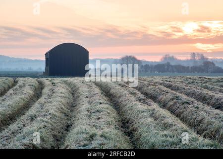 Stapleford Black Barn, Cambridgeshire, Royaume-Uni Banque D'Images