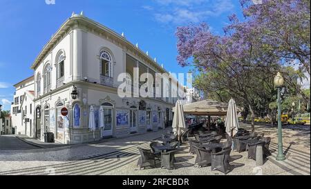 Île de Madère Portugal - 04 19 2023 : vue panoramique à l'avenue Arriaga sur le centre-ville de Funchal, architecture et style de vie à la ville, sur l'île de Madère Banque D'Images