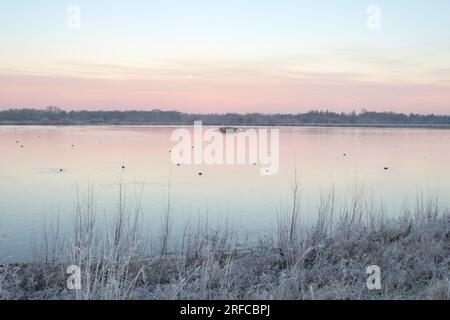 Matin d'hiver glacial à Dernford Reservoir, Sawston, Cambridgeshire Banque D'Images