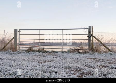 Matin d'hiver glacial à Dernford Reservoir, Sawston, Cambridgeshire Banque D'Images