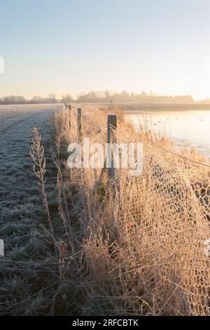 Matin d'hiver glacial à Dernford Reservoir, Sawston, Cambridgeshire Banque D'Images