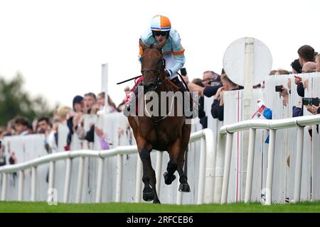 Ash Tree Meadow monté par le jockey Danny Gilligan sur son chemin pour gagner la plaque Tote Galway (handicap Chase) pendant la troisième journée du Galway races Summer Festival à l'hippodrome de Galway. Date de la photo : mercredi 2 août 2023. Banque D'Images