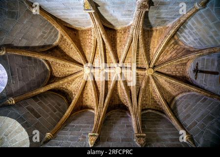 Voûte étoilée gothique de la cathédrale deAvila, Castilla y Leon, Espagne dans les tons dorés Banque D'Images