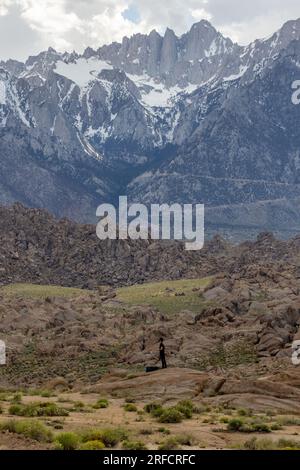 Homme solitaire dans Alabama Hills avec les sierras de l'est enneigées au loin Banque D'Images